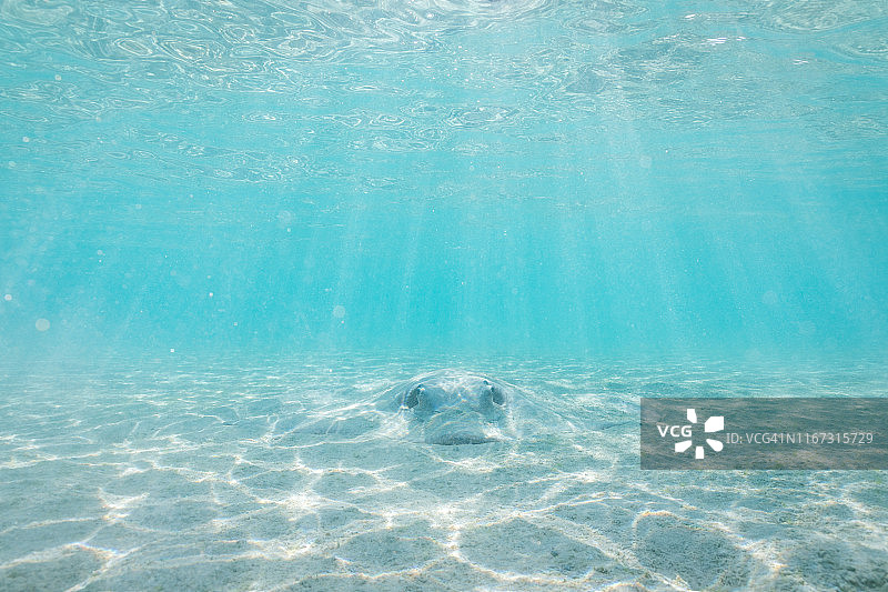 大堡礁的光芒图片素材