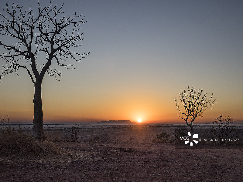 西澳大利亚金伯利电报山猴面包树日出图片素材