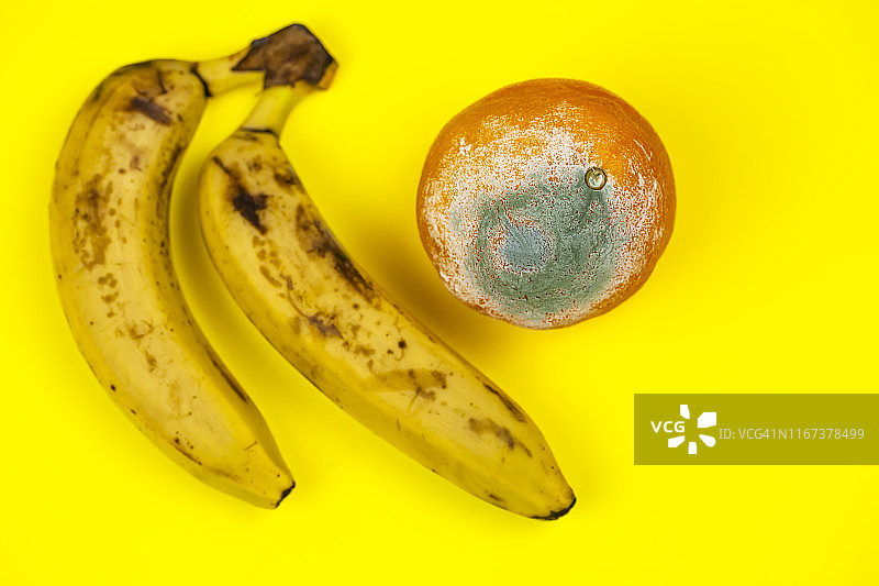 水果的成熟过程图片素材