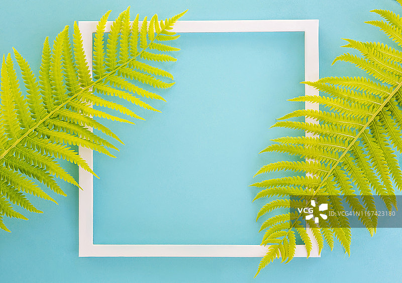 画框和树叶图片素材