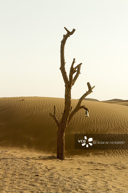 摩洛哥南部撒哈拉沙漠的奇加加沙丘图片素材