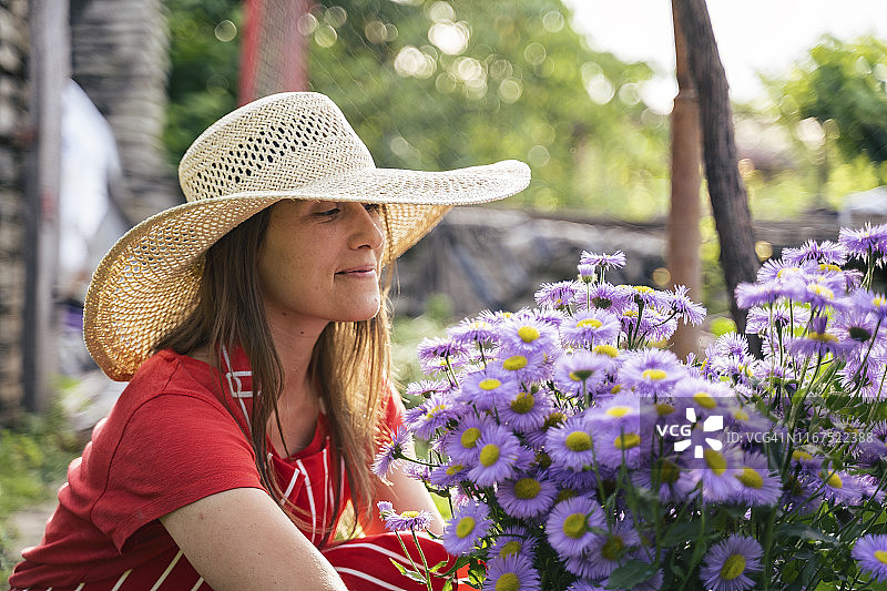 在阳光明媚的庭院里照料植物图片素材