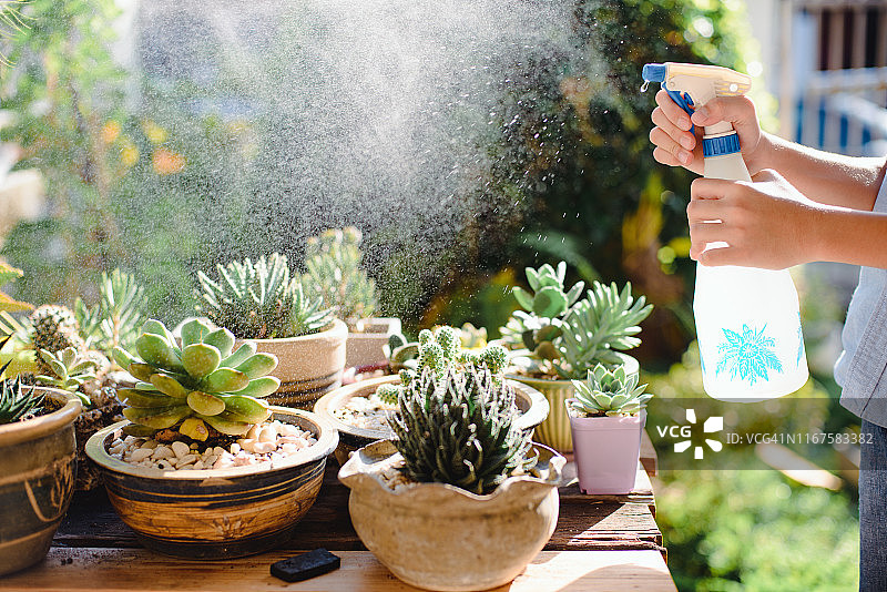 男孩给植物浇水图片素材