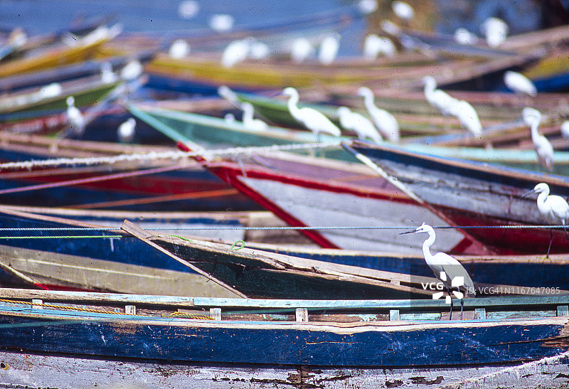肯尼亚的渔船图片素材