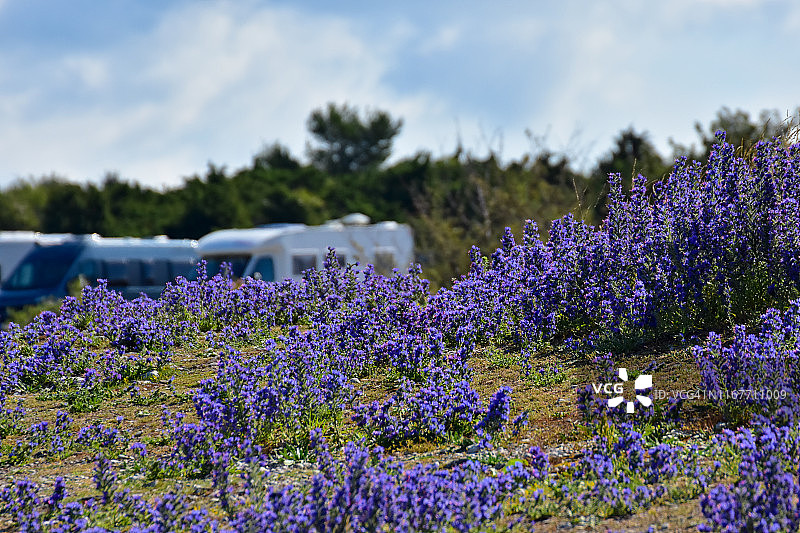 2019年瑞典哥特兰岛的夏季风光：霍布尔根的房车之夜图片素材
