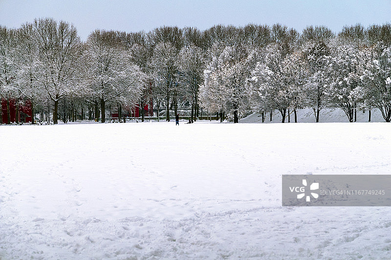 巴黎拉维莱特公园雪景，背景行道树图片素材
