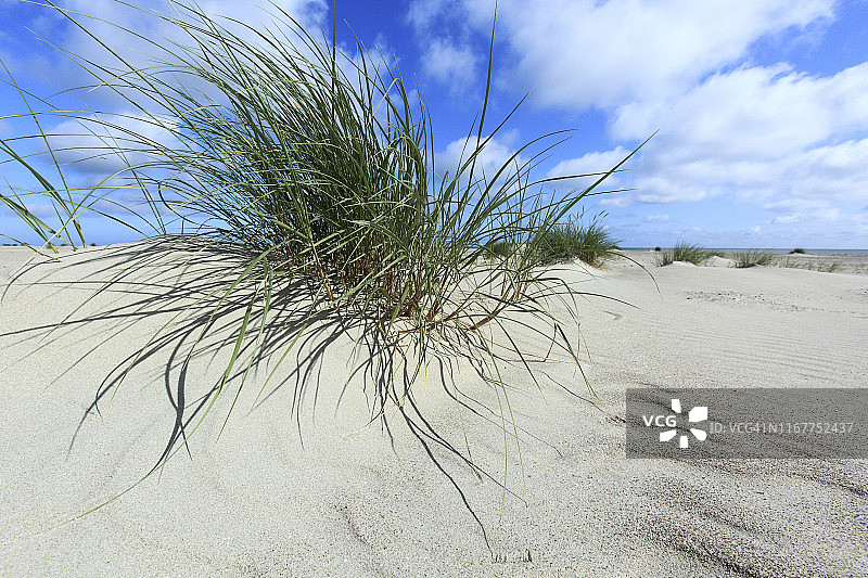 丁克尔海滩图片素材