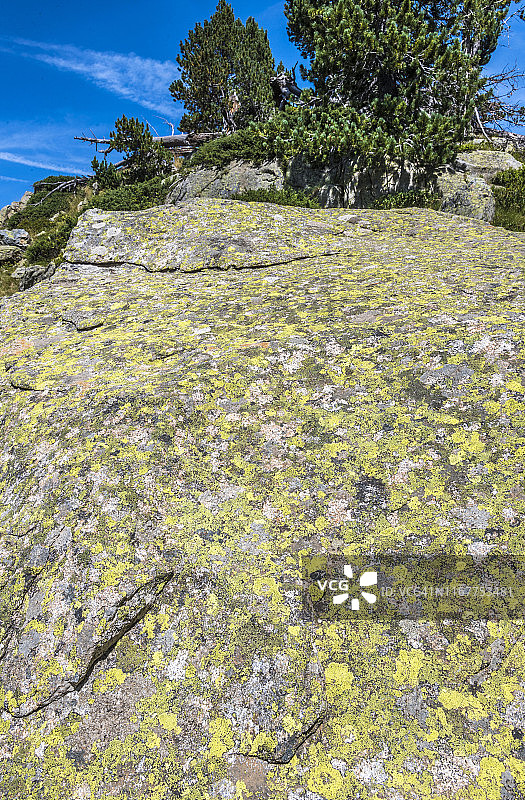 法国上比利牛斯山内乌维耶尔国家自然保护区岩石上的地衣图片素材