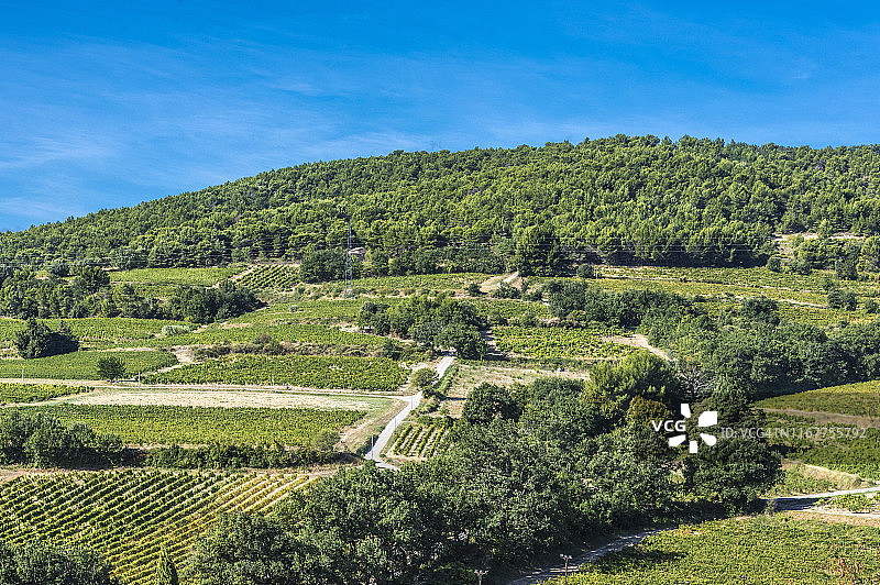 法国德龙省普罗旺斯万索布尔葡萄园图片素材