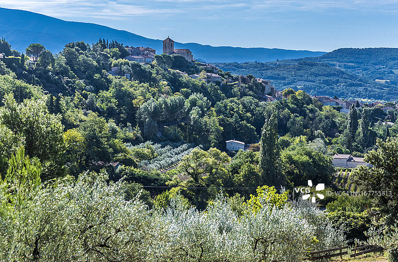 法国普罗旺斯德龙省橄榄树图片素材