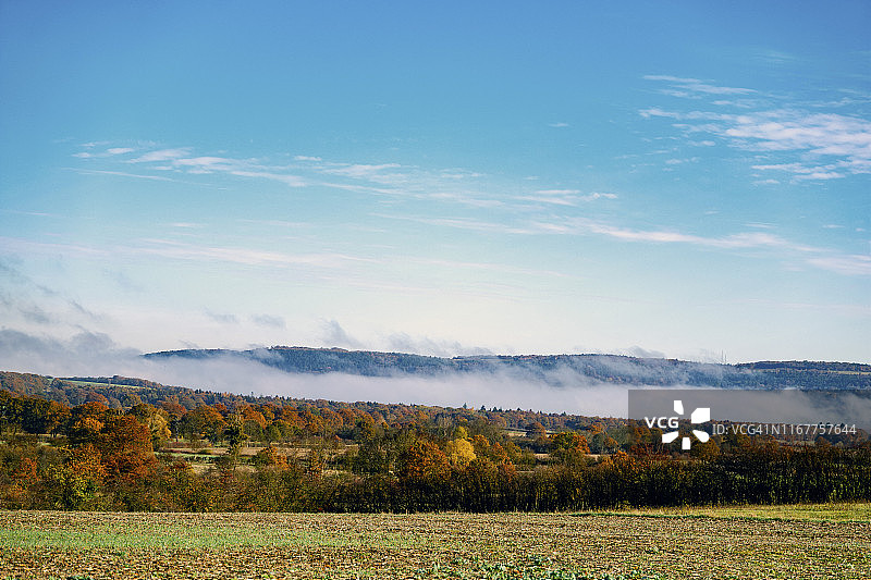 法国勃艮第，秋季乡村晨雾景观图片素材