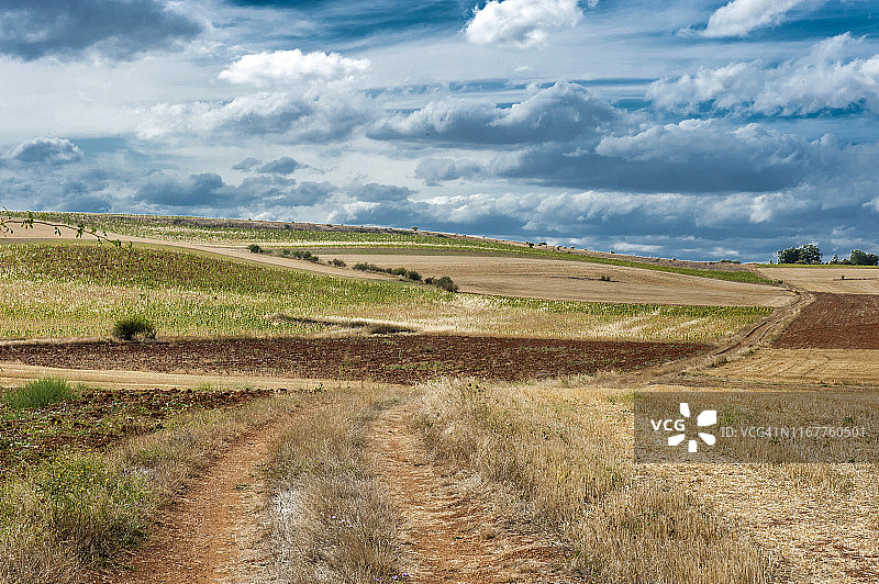 西班牙卡斯蒂利亚-莱昂自治区布尔戈斯省科瓦鲁维亚斯周边的乡村图片素材