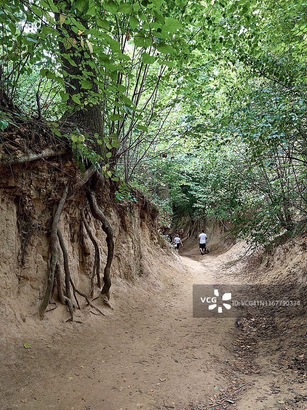 游客参观波兰卡齐米日多尔尼附近的黄土峡谷图片素材