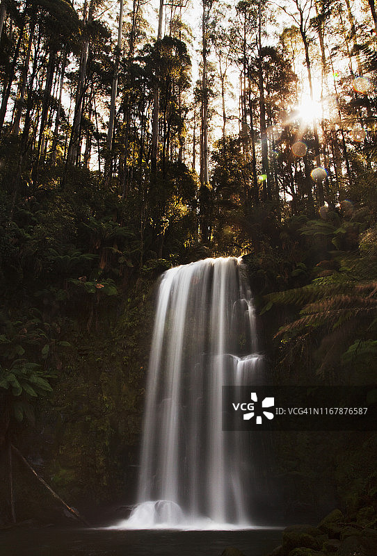 澳大利亚维多利亚州大奥特威国家公园博尚瀑布的阳光穿过树林图片素材