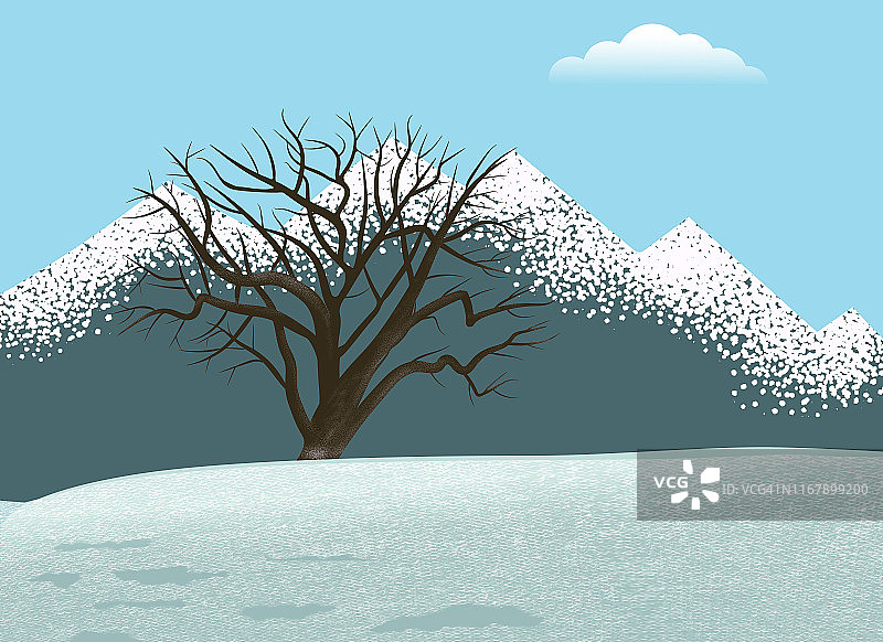 冬季的孤树图片素材