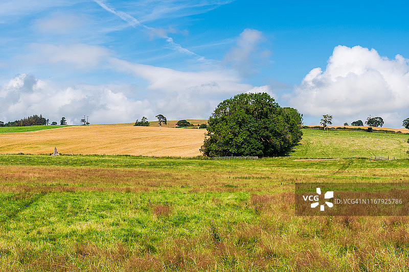 英国诺森伯兰郡夏季风光图片素材