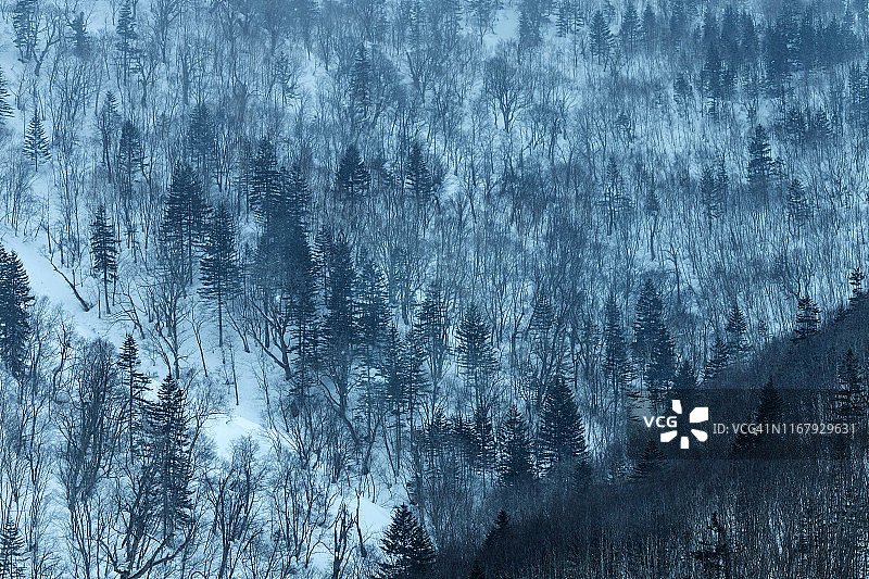 日本北海道二世古附近的羊蹄山与村庄美景图片素材