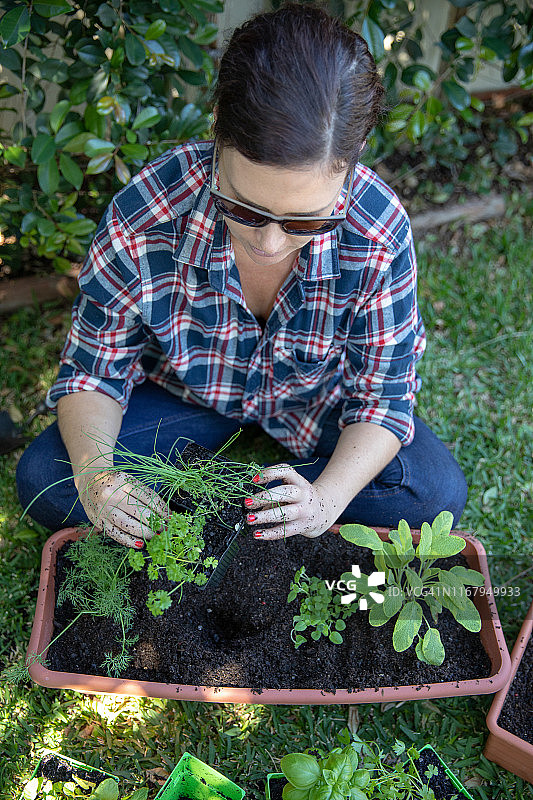 女人园艺图片素材