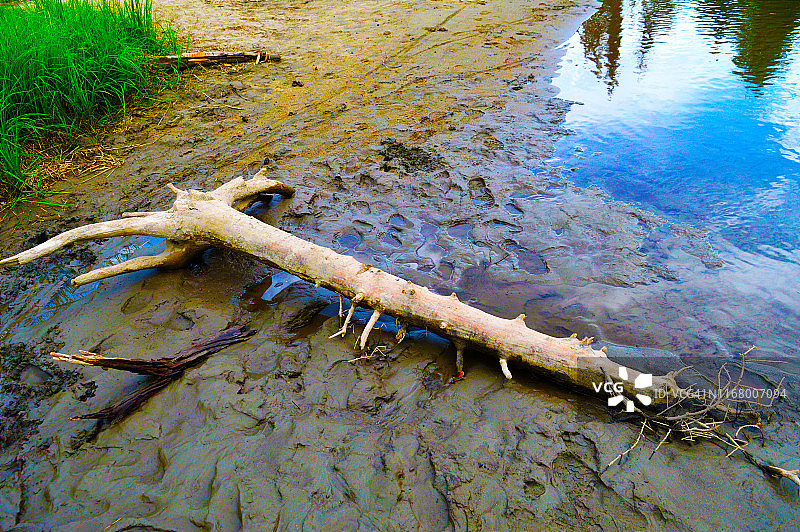 阿拉斯加州小苏西特纳河图片素材