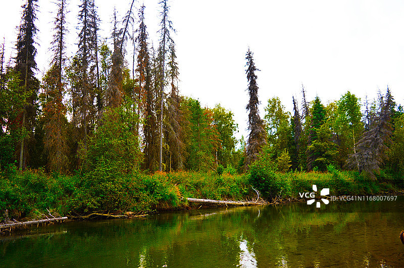 阿拉斯加州小苏西特纳河图片素材