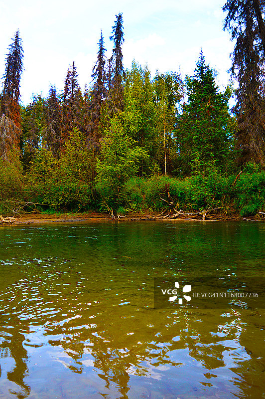 阿拉斯加州小苏西特纳河图片素材