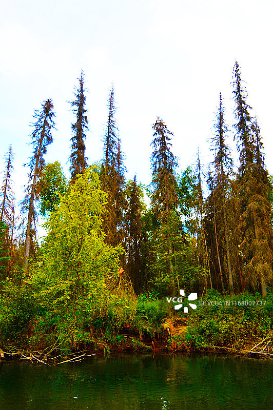 阿拉斯加州小苏西特纳河图片素材