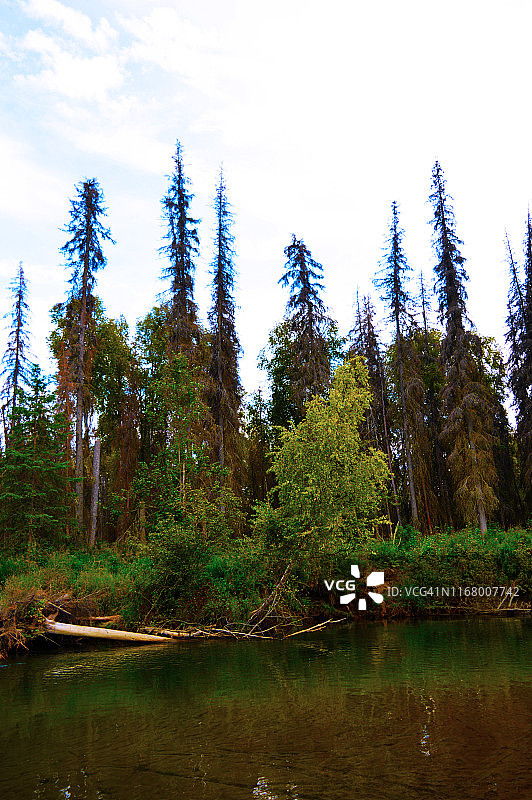 阿拉斯加州小苏西特纳河图片素材