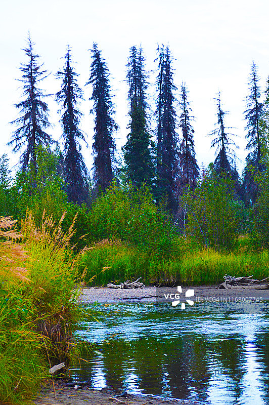 阿拉斯加州小苏西特纳河图片素材