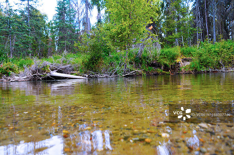 阿拉斯加州小苏西特纳河图片素材