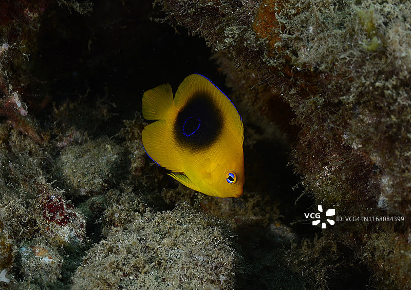 岩石之美图片素材