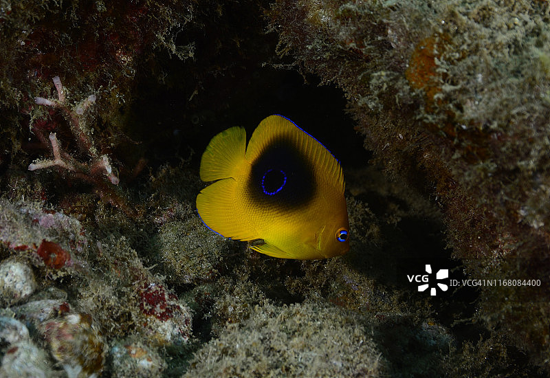 岩石之美图片素材