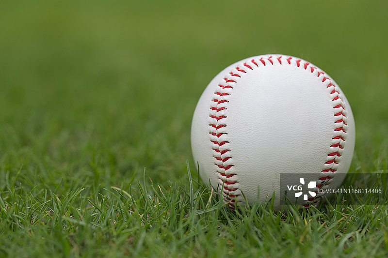 绿茵草坪上的棒球图片素材