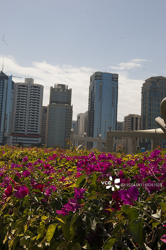 阿布扎比：金融与商业图片素材