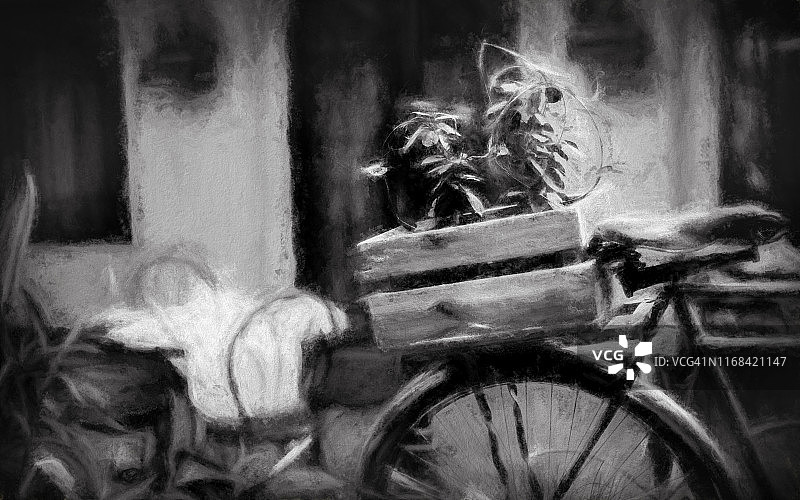 自行车和植物的黑白艺术场景图片素材