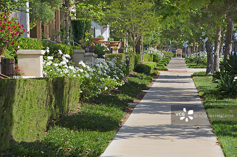阿利索维耶荷的人行道小路图片素材