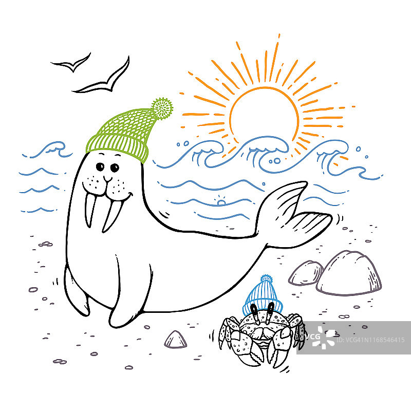 海洋生物图片素材