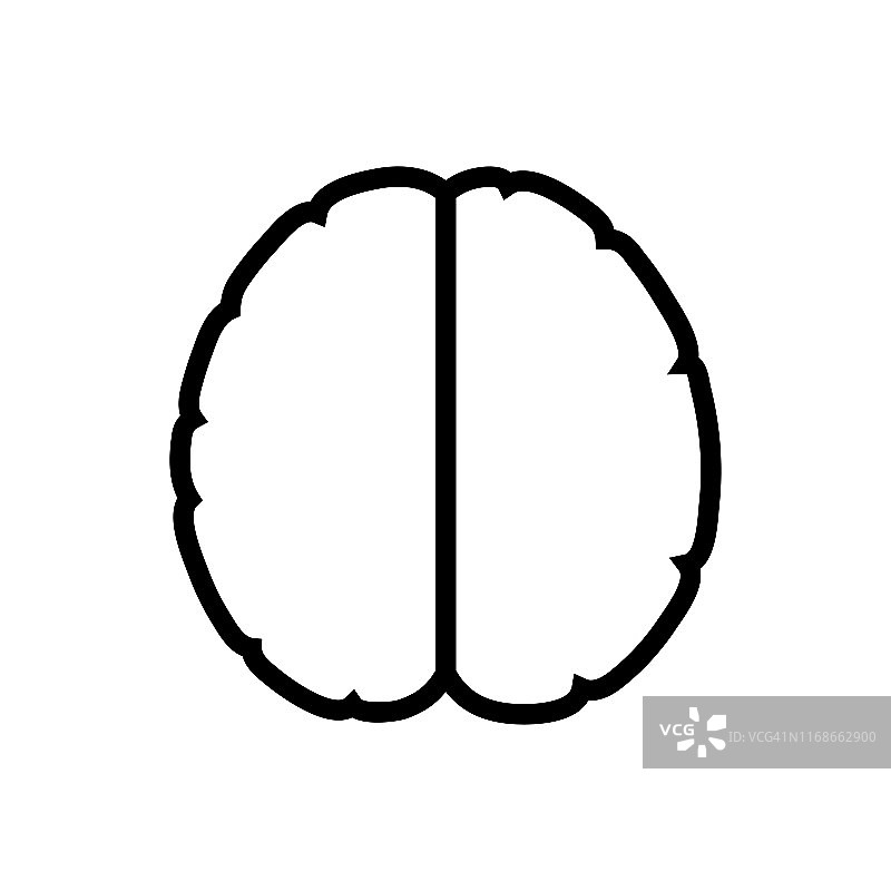 人脑解剖的矢量插图图片素材