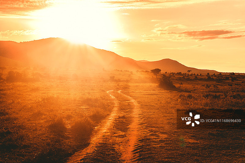 马赛马拉景观图片素材