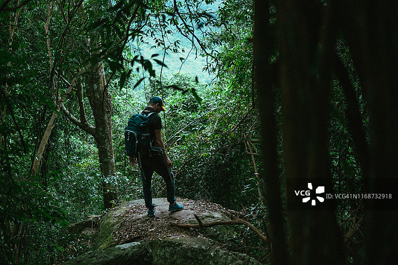 自然之美：旅行者享受热带雨林图片素材