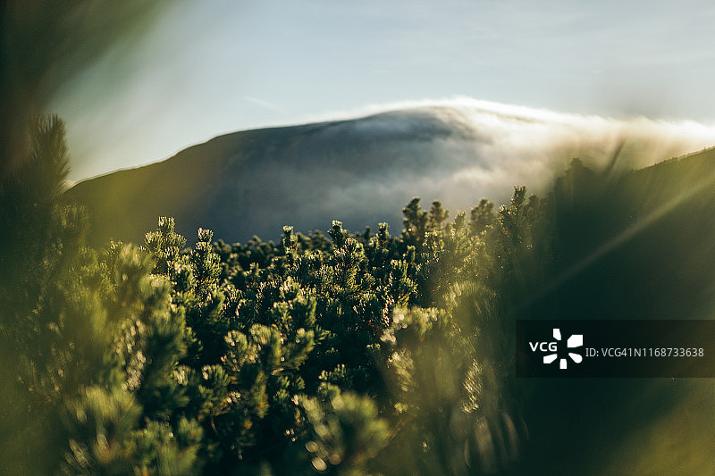 喀尔科诺谢山脉的秋天图片素材