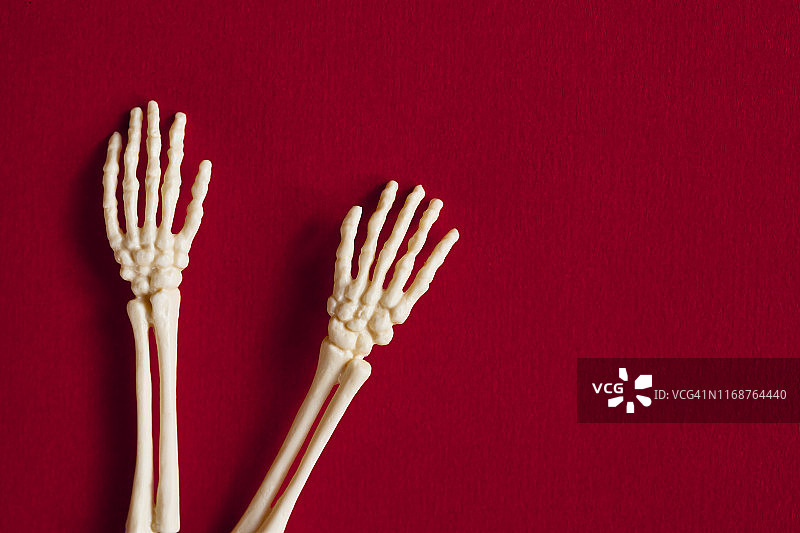 骷髅手臂图片素材