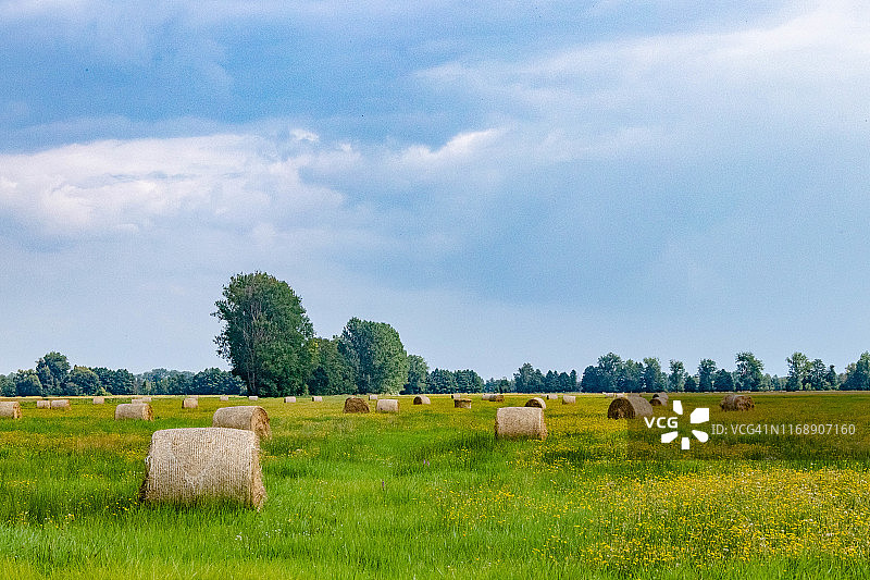 勃兰登堡，天空下的田野上的干草捆，德国图片素材