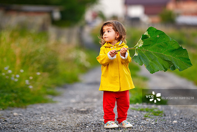 手持一片巨大的叶子图片素材
