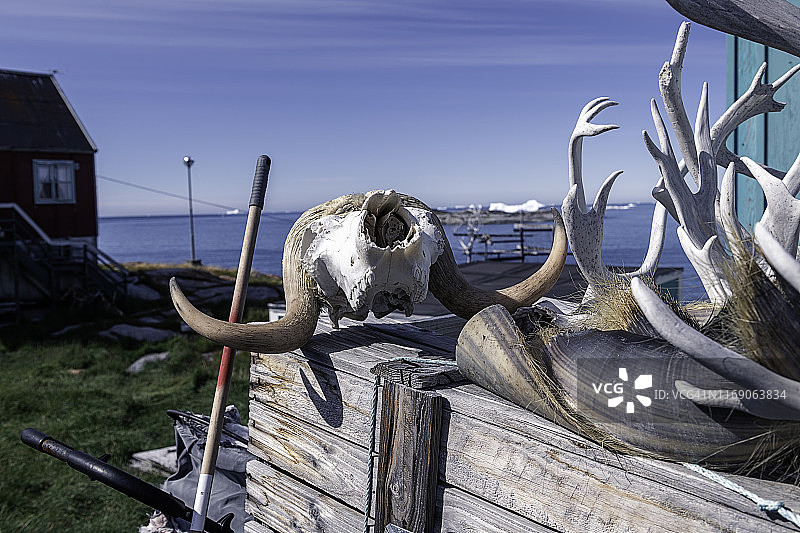 狩猎遗骸和骨骼图片素材