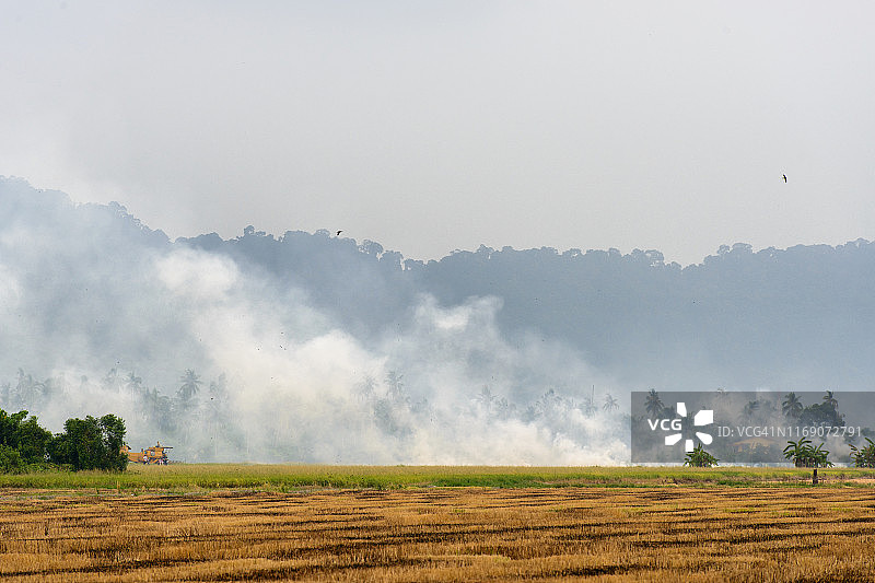 环境污染图片素材