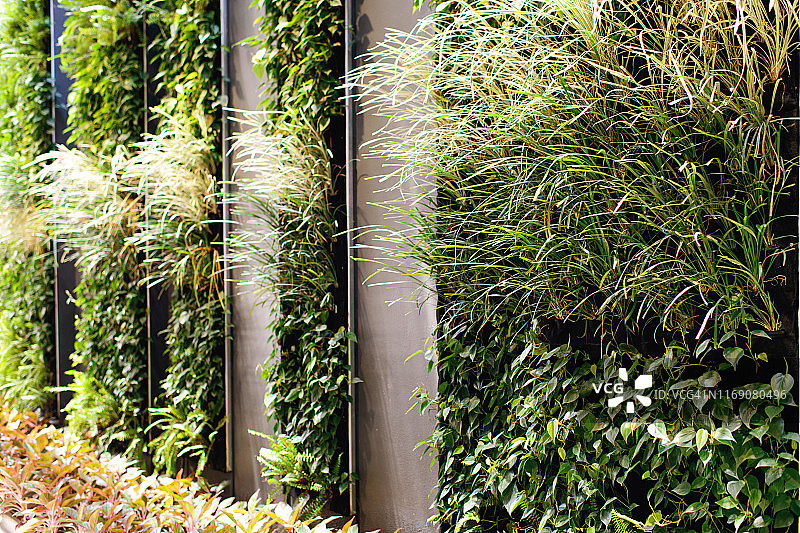 垂直花园景观图片素材