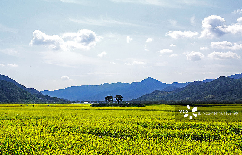 水彩西瓜切片图片素材