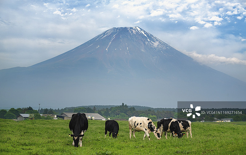 农场与富士山图片素材