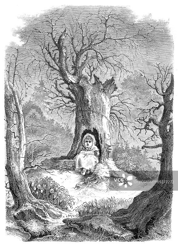 德国童话故事《雪滴花》 1862年图片素材