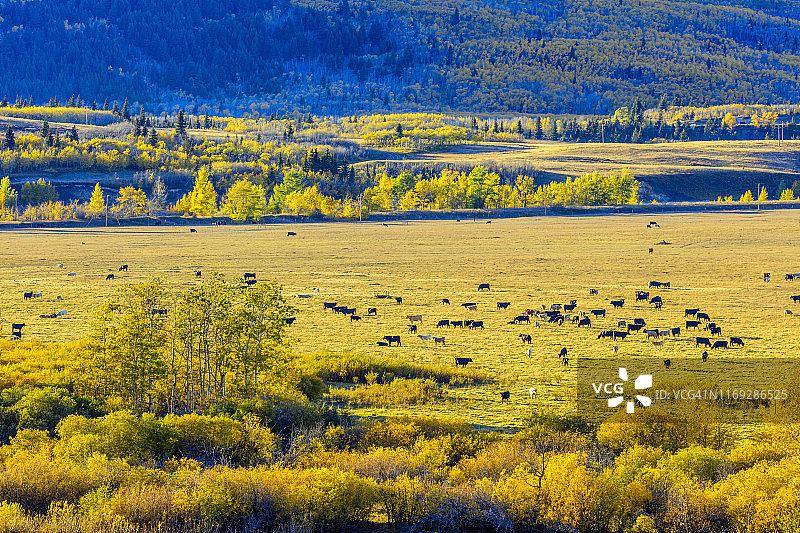 美国蒙大拿州冰川国家公园图片素材